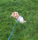 20121109_122427-1.jpg 20121109_122427-1.jpg