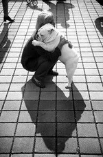 image.webp