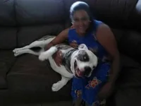 CAM00486.webp CAM00486.webp