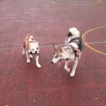 20130108_122645-1.webp