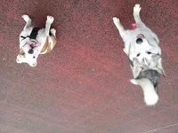 20130108_122430.webp