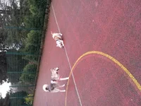 20130108_122737.webp