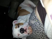 20130108_153921.webp
