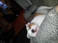 20130108_160009.webp