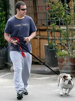 adam-sandler-435.webp