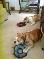 IMG_0624.jpg IMG_0624.jpg