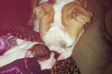 Lola and Lucy february 2013 059.jpg Lola and Lucy february 2013 059.jpg