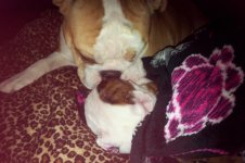 Lola and Lucy february 2013 060.jpg Lola and Lucy february 2013 060.jpg