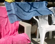 DSCN4304.webp