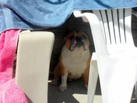 DSCN4305.webp