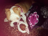 Lola and Lucy february 2013 063.webp Lola and Lucy february 2013 063.webp
