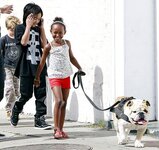 pitt_jolie_bulldog-jacques.jpg