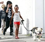 pitt_jolie_bulldog-jacques.webp