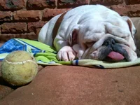 IMG-20120425-00908.webp