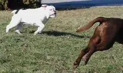 ImageUploadedByTapatalk1360806254.308890.webp