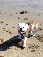beach.webp