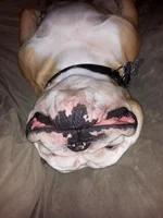 upsidedown.webp