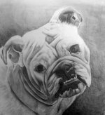 drawingadv (3).jpg