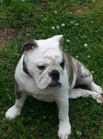 20130518_132358.webp