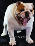 larry_kiss.webp