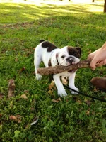 ImageUploadedByTapatalk1366039108.272359.webp ImageUploadedByTapatalk1366039108.272359.webp
