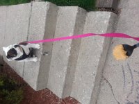 20130415_101932.jpg