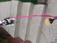 20130415_101931.jpg
