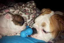 Lola and Lucy february 2013 071.webp