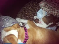Lola and Lucy february 2013 081.webp