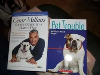 100_1087.webp 100_1087.webp