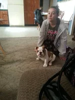 uploadfromtaptalk1361072193178.webp
