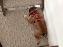 IMG_5920.jpg IMG_5920.jpg