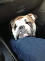 Ride Home.jpg Ride Home.jpg