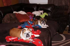 slumber.webp