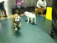 IMG_5944.jpg IMG_5944.jpg