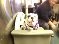 IMG_5949.jpg IMG_5949.jpg