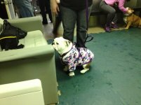 IMG_5947.jpg IMG_5947.jpg