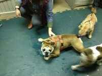 IMG_5959.jpg IMG_5959.jpg