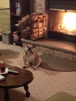 IMG_5997.jpg IMG_5997.jpg