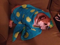 IMG_5995.jpg IMG_5995.jpg