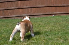 Nikon_7445.webp Nikon_7445.webp