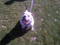 IMG-20130217-00020.webp