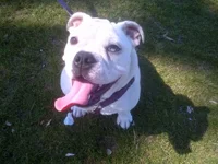 IMG-20130217-00021.webp