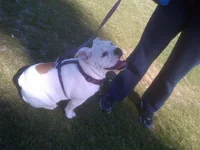 IMG-20130217-00022.webp