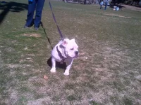 IMG-20130217-00023.webp