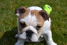 Nikon_7427.webp Nikon_7427.webp