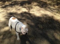 IMG_3940.jpg IMG_3940.jpg