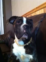 dope nigga.webp