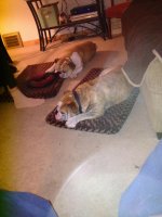 IMG_0653.jpg IMG_0653.jpg