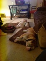 IMG_0654.jpg IMG_0654.jpg